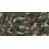 Woodland Camo