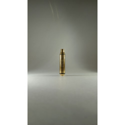 223REM LASER TRAINING BULLET