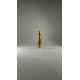 223REM LASER TRAINING BULLET
