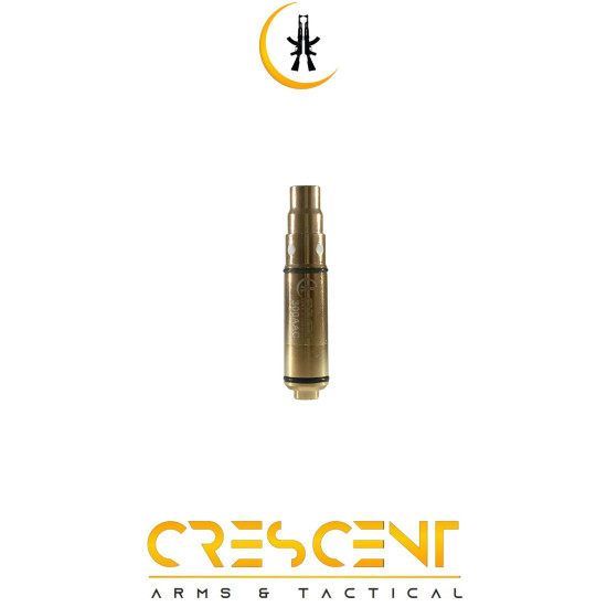 300AAC LASER TRAINING BULLET