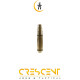 300AAC LASER TRAINING BULLET