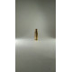 38SPECIAL LASER TRAINING BULLET