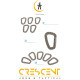 PLASTIC D RING CARABINER