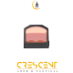FRENZY FA 1X17X21 GENII RED DOT SIGHT